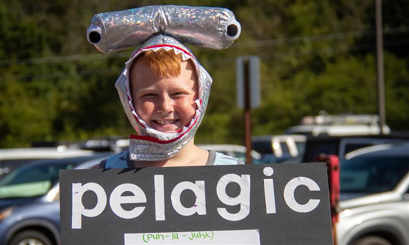 A boy wearing a hammerhead shark hood